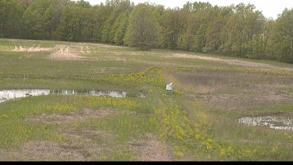 capture-12-22-05-14_13-11-05-31