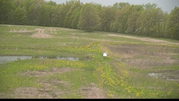 capture-12-22-05-14_17-20-28-42