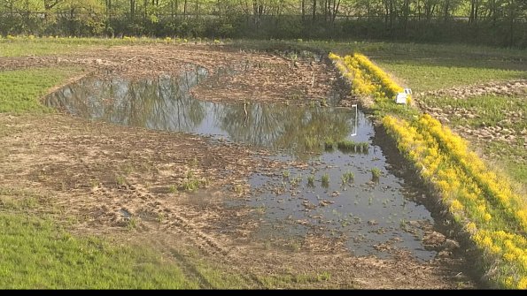 capture-14-22-05-14_08-00-20-43