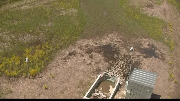 capture-3-22-05-14_12-08-31-35