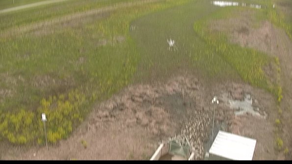 capture-3-22-05-14_16-17-54-42