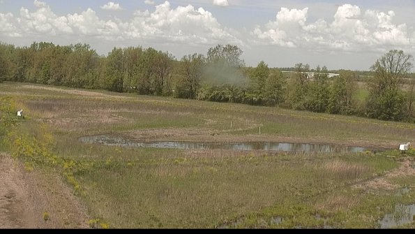 capture-4-22-05-14_12-08-58-34