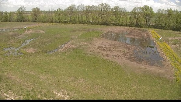 capture-6-22-05-14_12-09-26-74