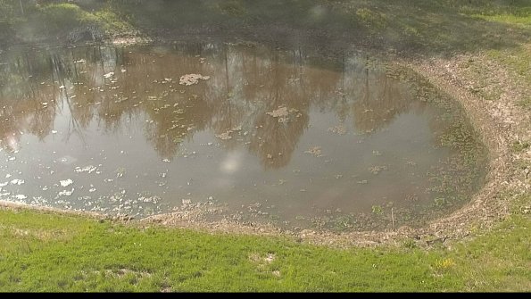 capture-8-22-05-14_09-01-17-20