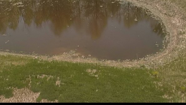 capture-8-22-05-14_12-08-16-33