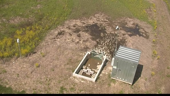 capture-9-22-05-14_11-07-49-49