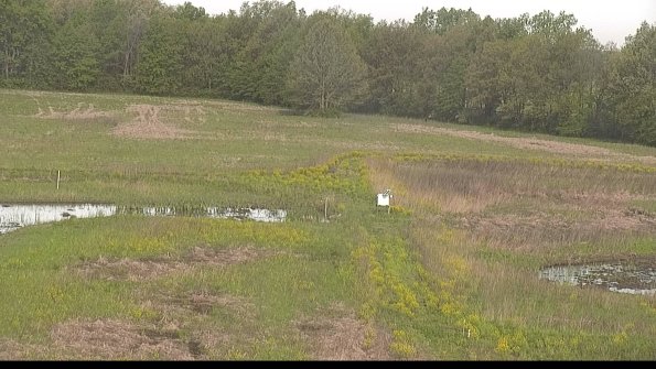 capture-12-22-05-15_08-55-34-43