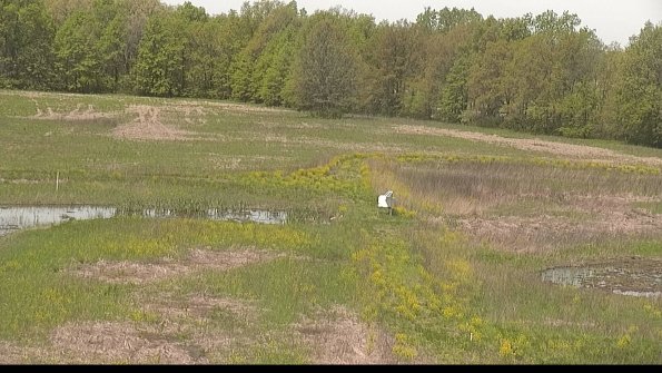 capture-12-22-05-15_12-02-35-34