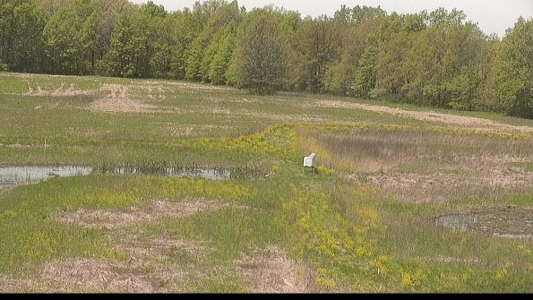 capture-12-22-05-15_13-04-55-36