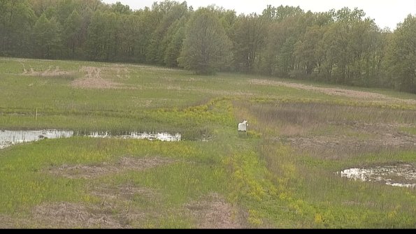 capture-12-22-05-15_18-16-38-09