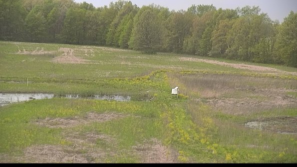 capture-12-22-05-15_19-18-59-18