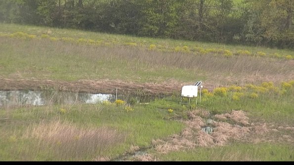 capture-13-22-05-15_08-56-01-29