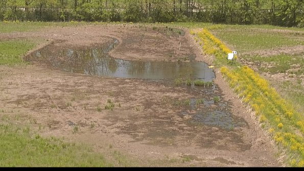 capture-14-22-05-15_13-05-51-31