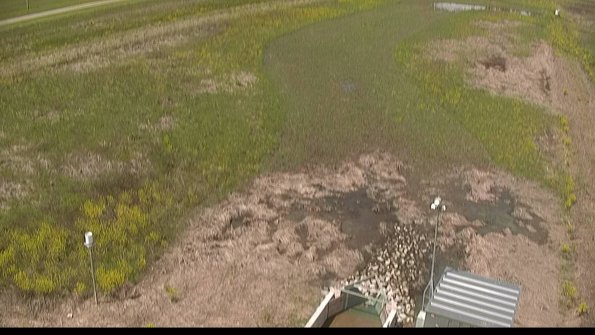 capture-3-22-05-15_12-02-21-39