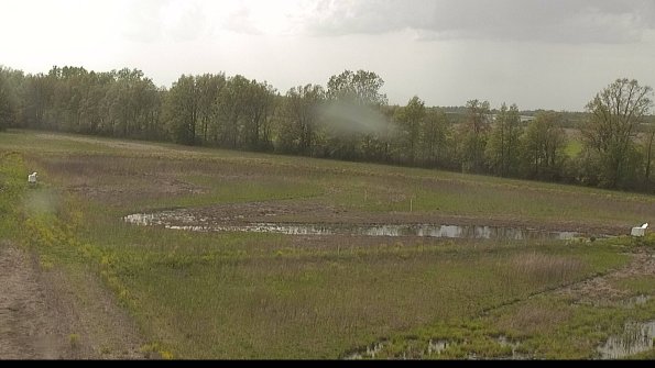 capture-4-22-05-15_17-14-31-35