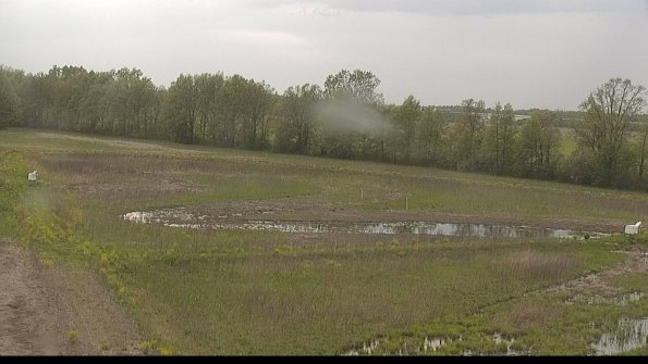 capture-4-22-05-15_18-16-50-37