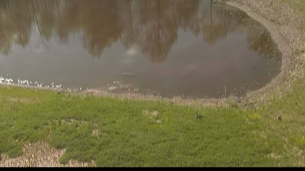 capture-8-22-05-15_09-57-25-39