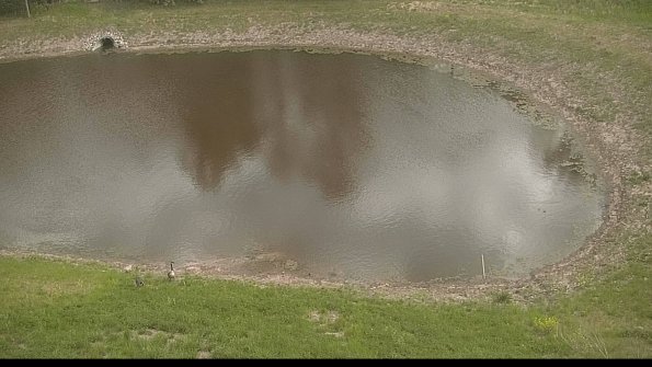 capture-8-22-05-15_19-18-29-48