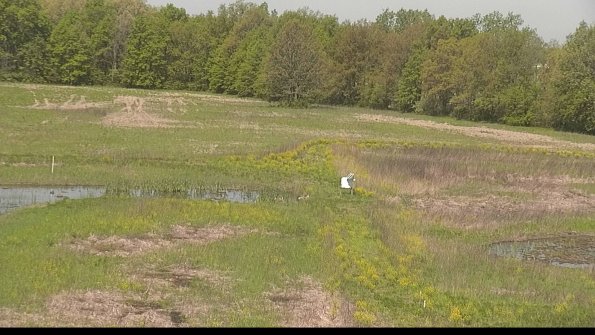 capture-12-22-05-16_10-54-04-21