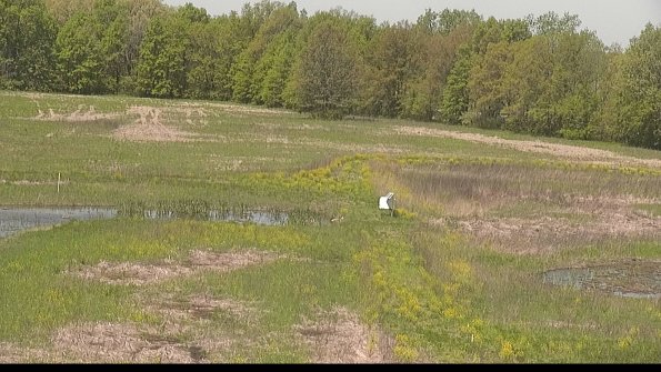 capture-12-22-05-16_11-56-24-36