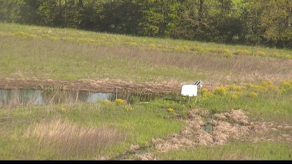 capture-13-22-05-16_08-49-49-35