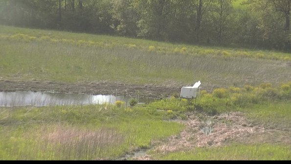 capture-13-22-05-16_17-08-35-28