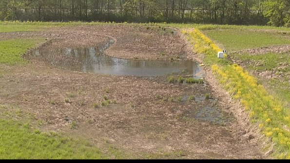 capture-14-22-05-16_17-09-04-34