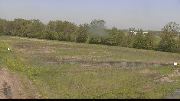 capture-4-22-05-16_10-54-17-02