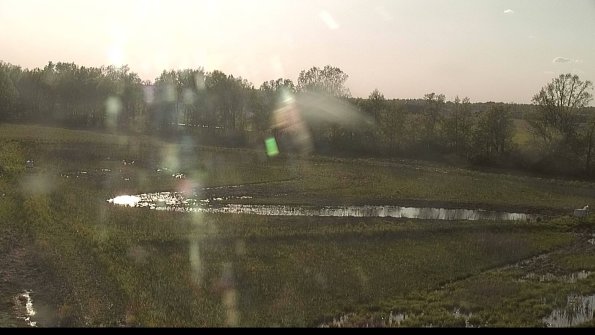 capture-4-22-05-16_19-13-03-38