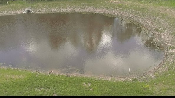 capture-8-22-05-16_15-02-58-24