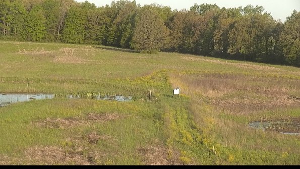 capture-12-22-05-17_07-40-55-32