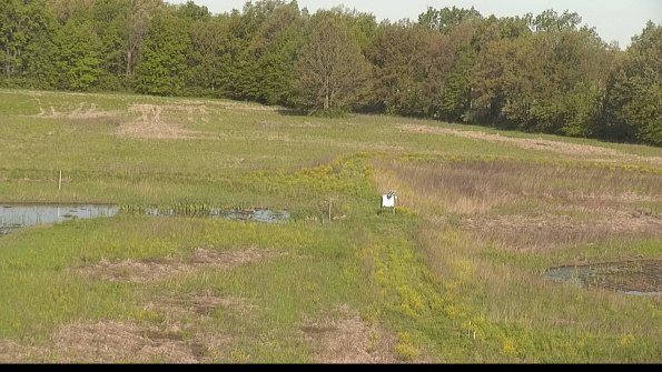 capture-12-22-05-17_08-43-15-81