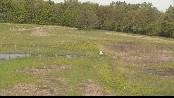 capture-12-22-05-17_09-45-35-44