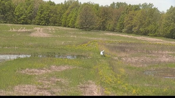 capture-12-22-05-17_11-50-16-32