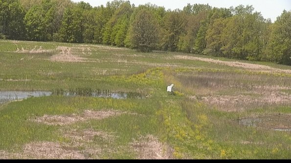 capture-12-22-05-17_12-52-37-35