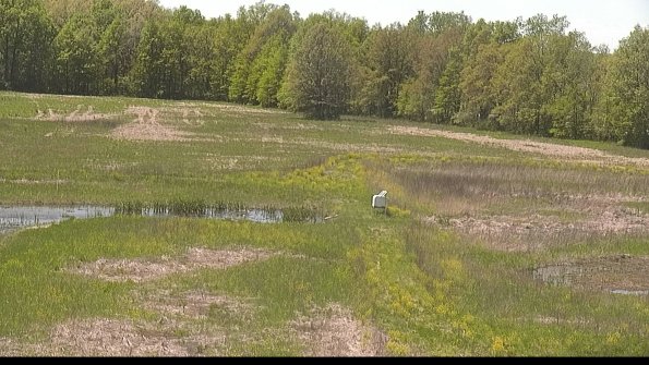 capture-12-22-05-17_13-54-57-34