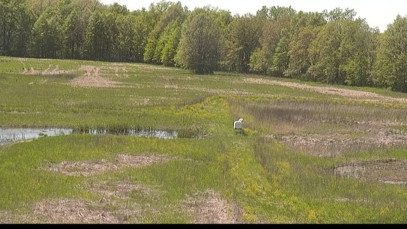 capture-12-22-05-17_14-57-17-56