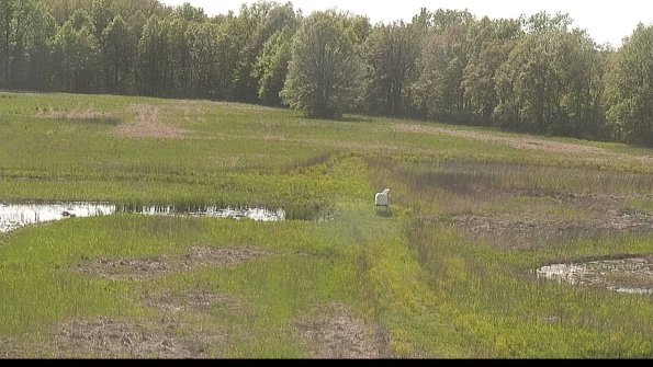 capture-12-22-05-17_17-01-59-41