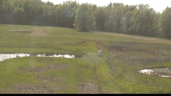 capture-12-22-05-17_18-04-20-44