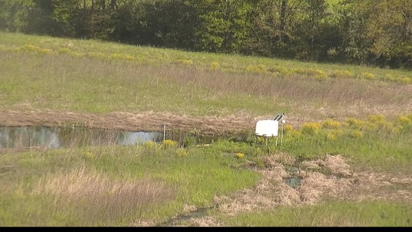 capture-13-22-05-17_08-43-42-37