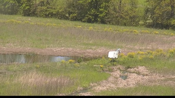 capture-13-22-05-17_11-50-43-35