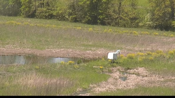 capture-13-22-05-17_12-53-04-34