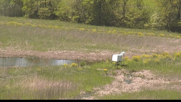 capture-13-22-05-17_13-55-24-33