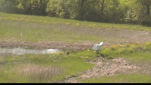 capture-13-22-05-17_16-00-05-38