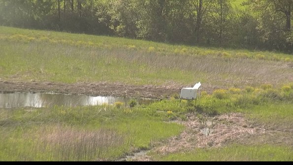 capture-13-22-05-17_17-02-26-34