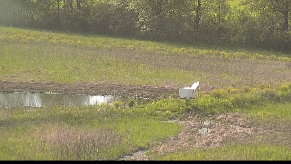 capture-13-22-05-17_18-04-47-30