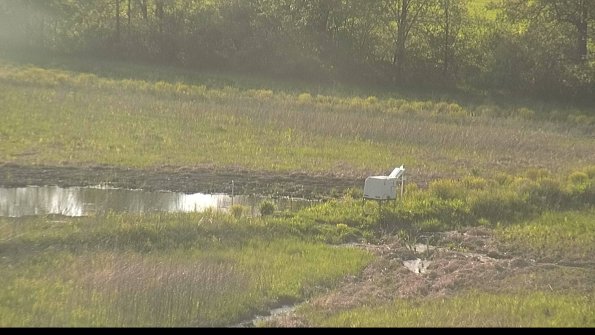 capture-13-22-05-17_19-07-08-25