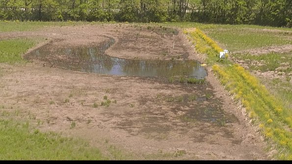 capture-14-22-05-17_11-51-12-38