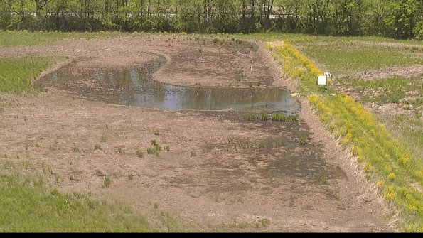 capture-14-22-05-17_13-55-52-36