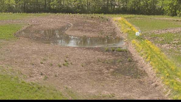 capture-14-22-05-17_16-00-34-44